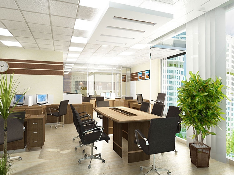 Mang cây xanh vào văn phòng làm việc làm giảm bớt căng thẳng trong công việc
